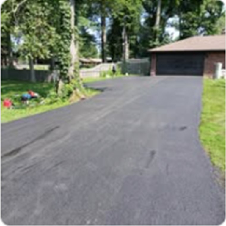 Smooth driveway surface winding around mature trees